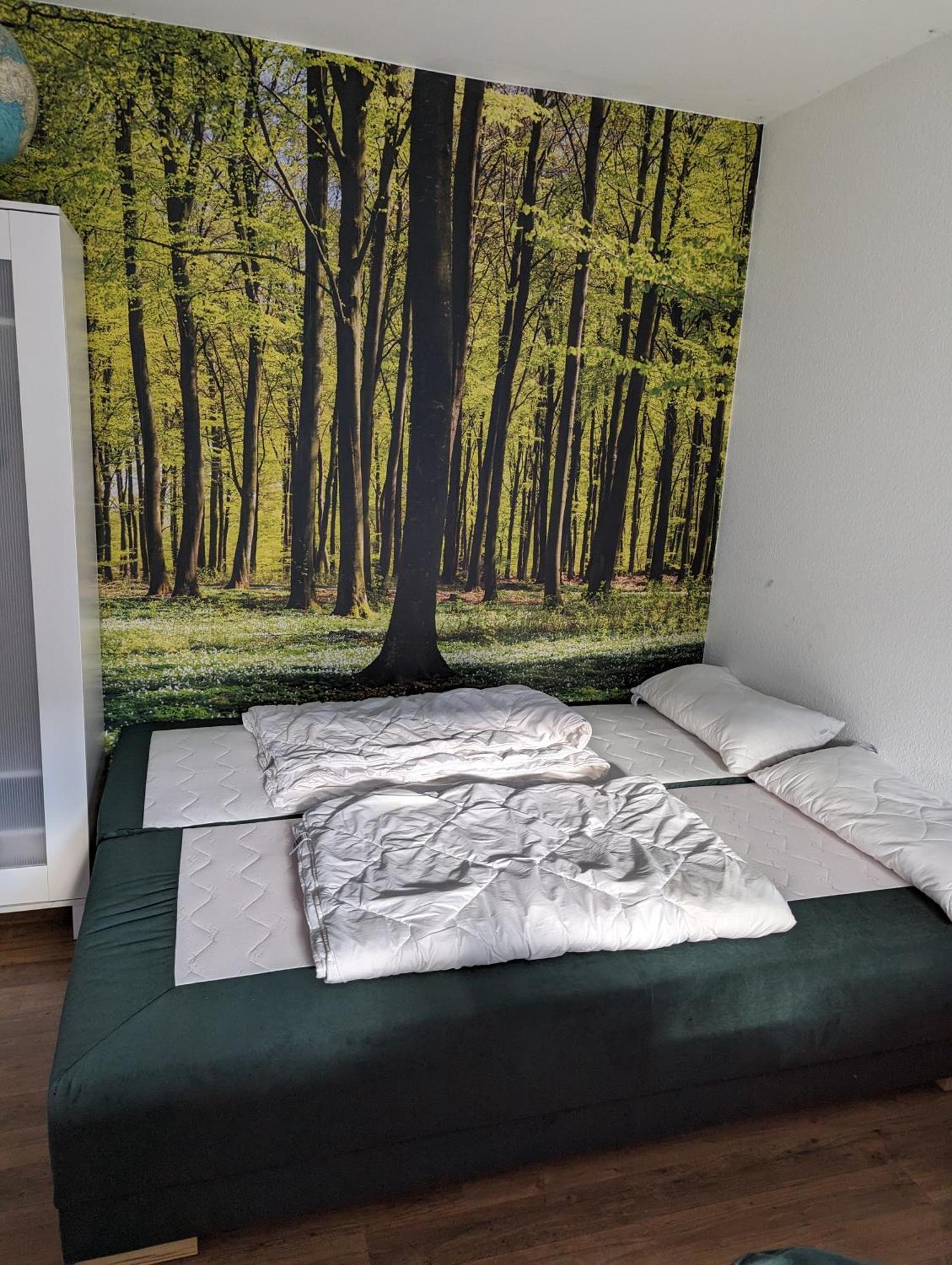 Ferienhaus "Kleiner Onkel" Honerath エクステリア 写真