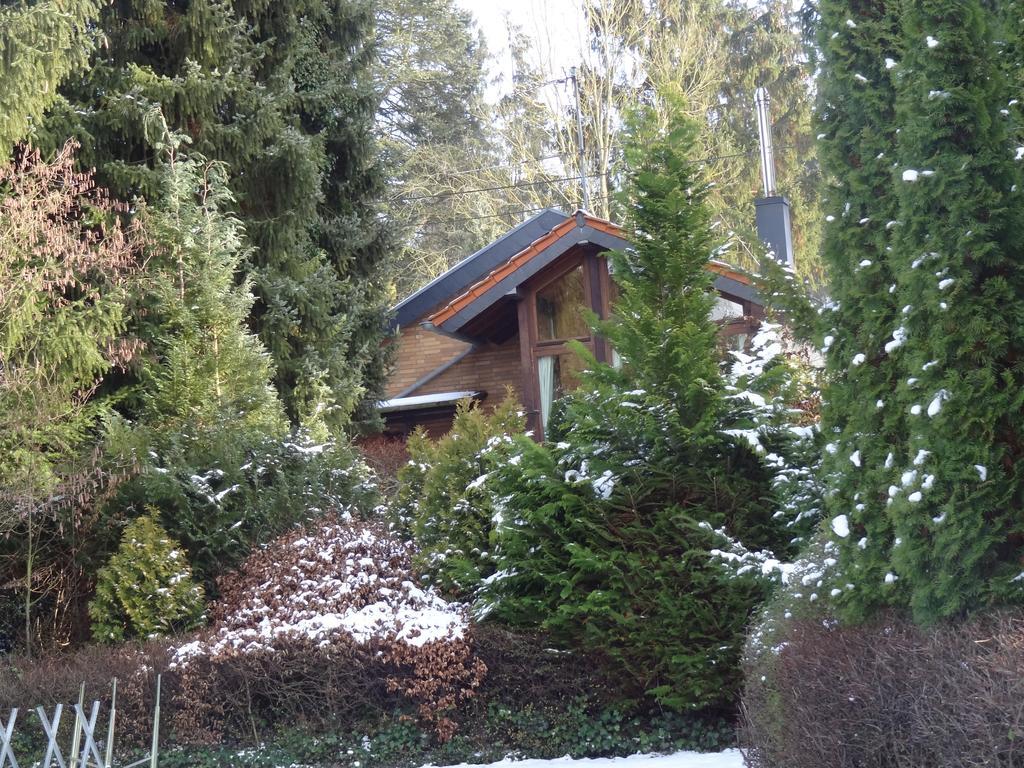 Ferienhaus "Kleiner Onkel" Honerath エクステリア 写真